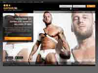 My Gaydar page